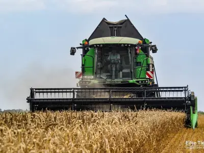Getreideernte