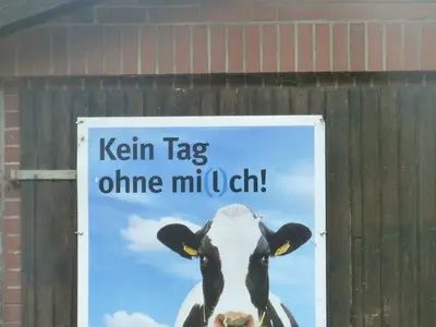Bildtitel angeben