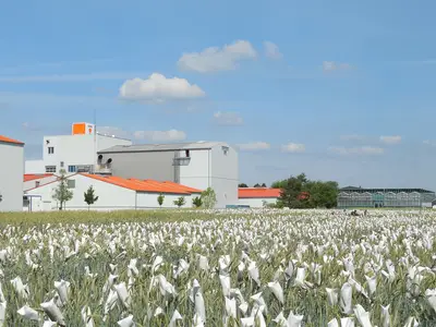 KWS Lochow GmbH