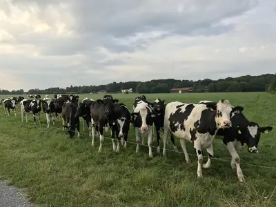 Versuchsstation Braunschweig
