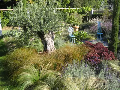 Vielseitige Gartengestaltung - z.B. mediterrane Pflanzung