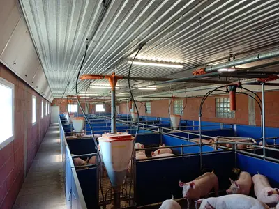 Moderne Mastst&auml;lle nach ITW