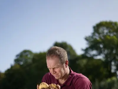 Dingen auf den Grund gehen