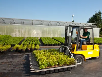 Ausstellen der Pflanzen