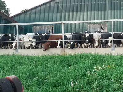 Johann Hinrich Lilienthal