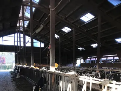 Unsere Milchk&uuml;he