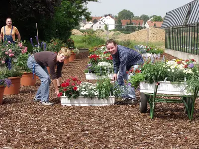 Ausstellen der Musterk&auml;sten im Freiland