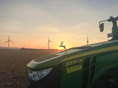 Hirsch im Sonnenuntergang