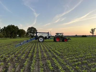 Pflanzenschutz Zuckerr&uuml;be