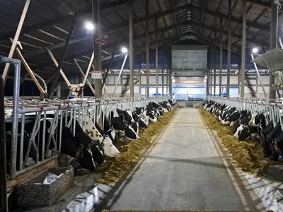 Johann und Wilke Harms-Jan&szlig;en GbR