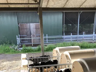 Die ersten Tage im Iglu