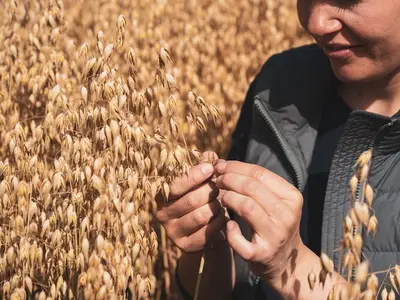 Wir schauen ganz genau hin