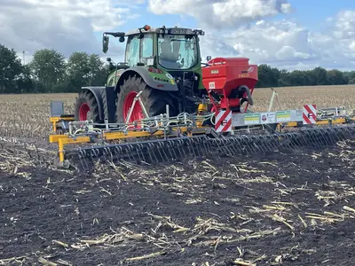 Zwischenfrucht drillen