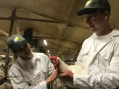 Bei uns dreht sich alles ums H&auml;hnchen