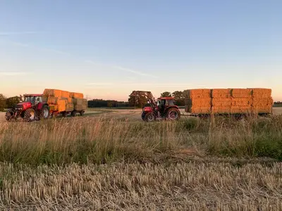 Stroh abfahren & einlagern