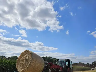 Strohbergung