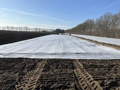 Fr&uuml;hkartoffeln unter Vlies