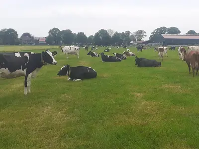 Johann Hinrich Lilienthal