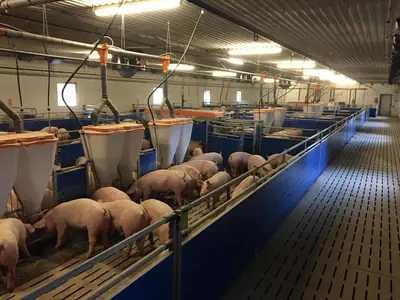 Umbau Stall Ochtmannien 3