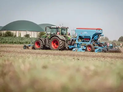 Zwischenfruchtaussaat vor Kartoffeln