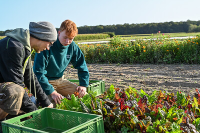 Talente gesucht Ausbildung Gemüsebau