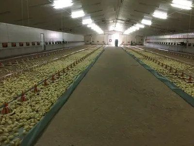 K&uuml;ken einstallen