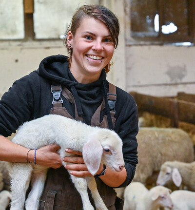 Tierwirt*in Schafhaltung