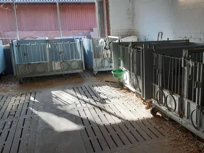 K&auml;lberstall Einzel und Doppelboxen