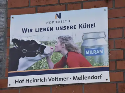 Wir lieben unsere K&uuml;he