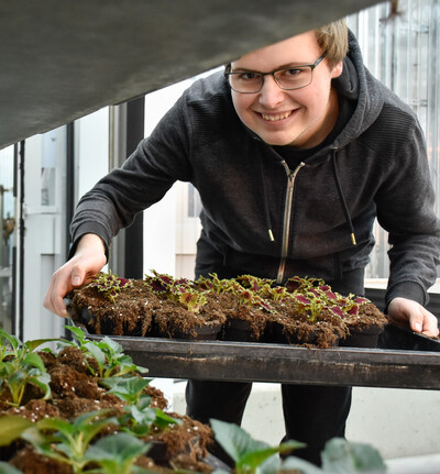 Ausbildung im Zierpflanzenbau