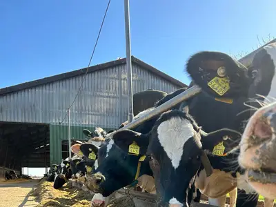 Kehlbecks Landwirtschaft GbR