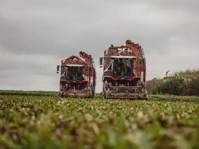 Rodung unserer Zuckerr&uuml;ben durch das LU