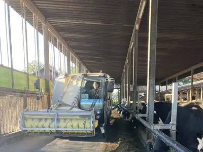 F&uuml;tterung K&uuml;he