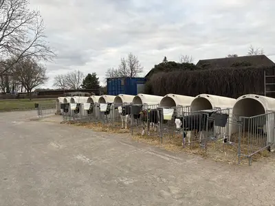 K&auml;lberh&uuml;tten