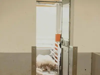 So wie es ihnen gef&auml;llt