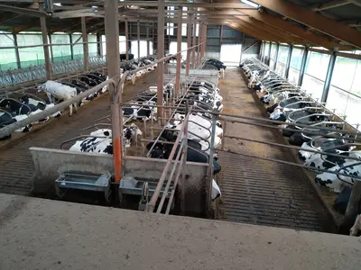 Christoph Pr&uuml;ser