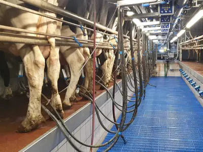 Melkstand