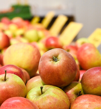 Ausbildung Obstbau
