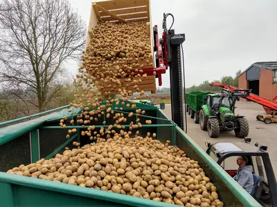 Kartoffeln auslagern