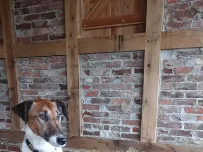 Die flei&szlig;igen Helfer