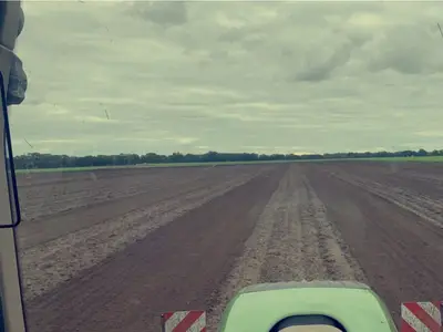 Getreide, Mais und Raps anbauen