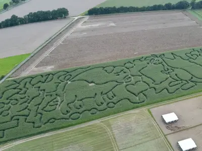 Carsten-Wilhelm Drewes