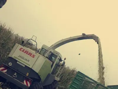 Friedrich-Loeffler-Institut