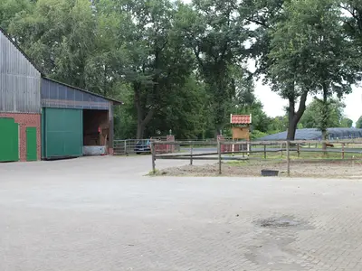 Der Ausblick nach vorne