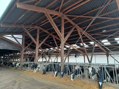 unsere Trockensteher