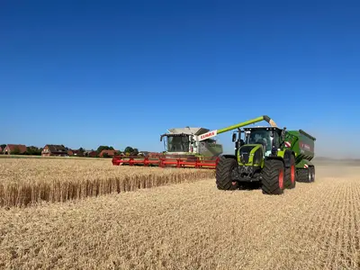 Getreideernte