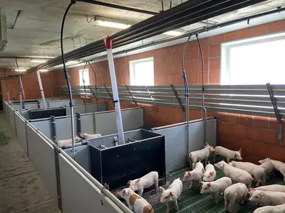 Winfried Kl&auml;ne-Menke