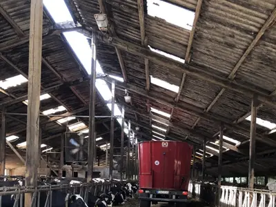 F&uuml;ttern der K&uuml;he