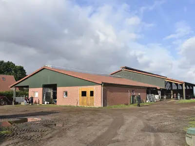 Neuer Milchviehstall