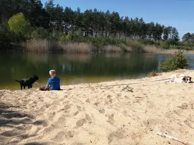 Ein sch&ouml;nes Pl&auml;tzchen: Die Elbtalaue 